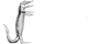 Selo prêmio CAIO